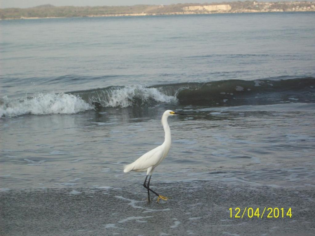 Apartamento Laguito Frente Al Mar Apartment Cartagena ภายนอก รูปภาพ